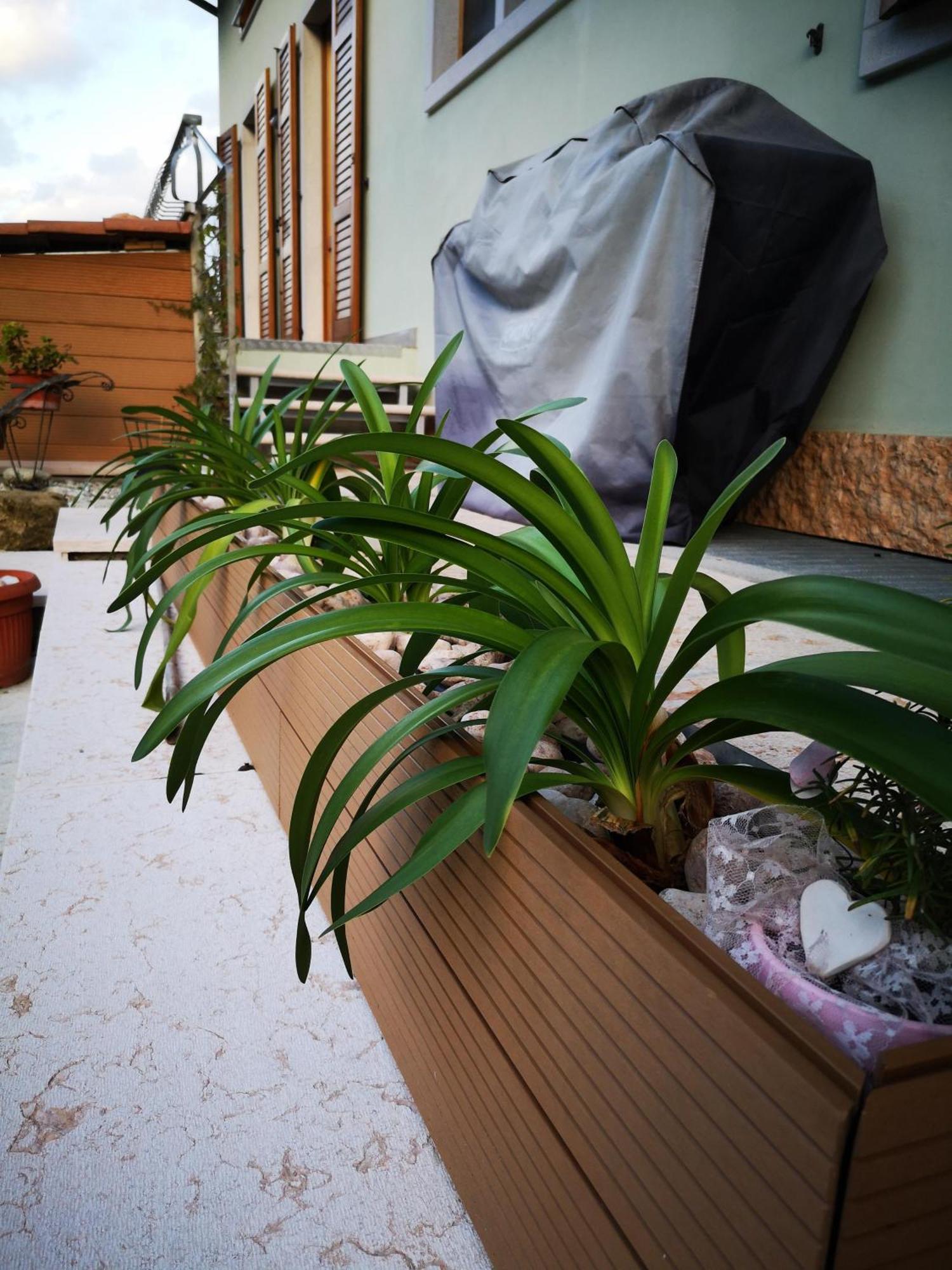 Apartment Sweet Retreat Dro Zewnętrze zdjęcie